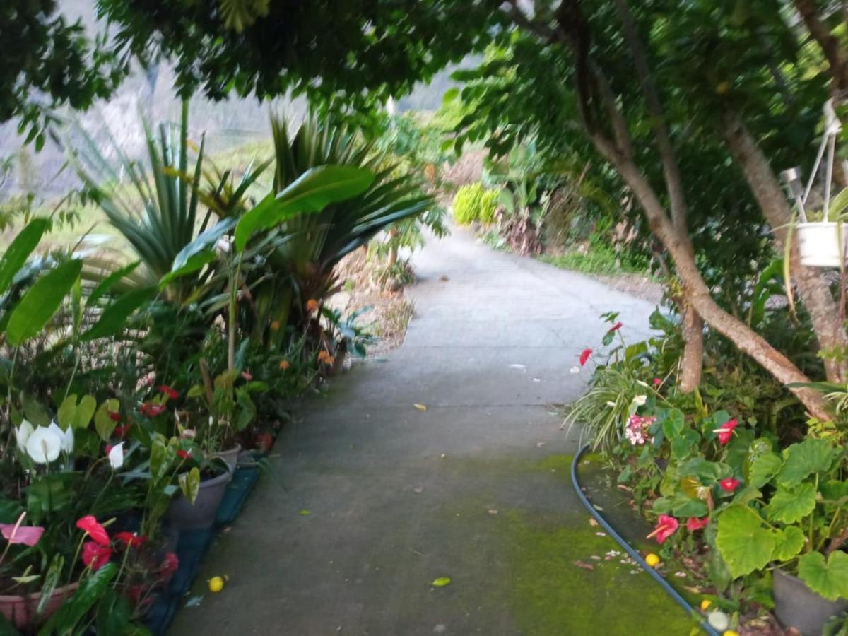 Ker L'Ilet Bed and Breakfast Cilaos Buitenkant foto